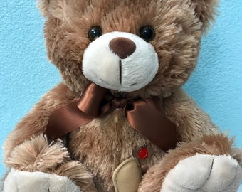 Ostomy Bear, ostomy, teddy bear, pediatric, ileostomy, surgery, colostomy, stoma, stoma bag, ostomy bag, stoma toy, urostomy, ostomy pouch
