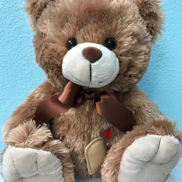 Ostomy Bear, ostomy, teddy bear, pediatric, ostomy teddy bear, ileostomy, surgery, colostomy