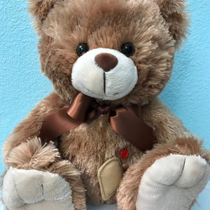 Ostomy Bear & Book, ostomy teddy bear, teddy bear, childrens, ostomy, colostomy, surgery, ileostomy, recovery, stoma image 3