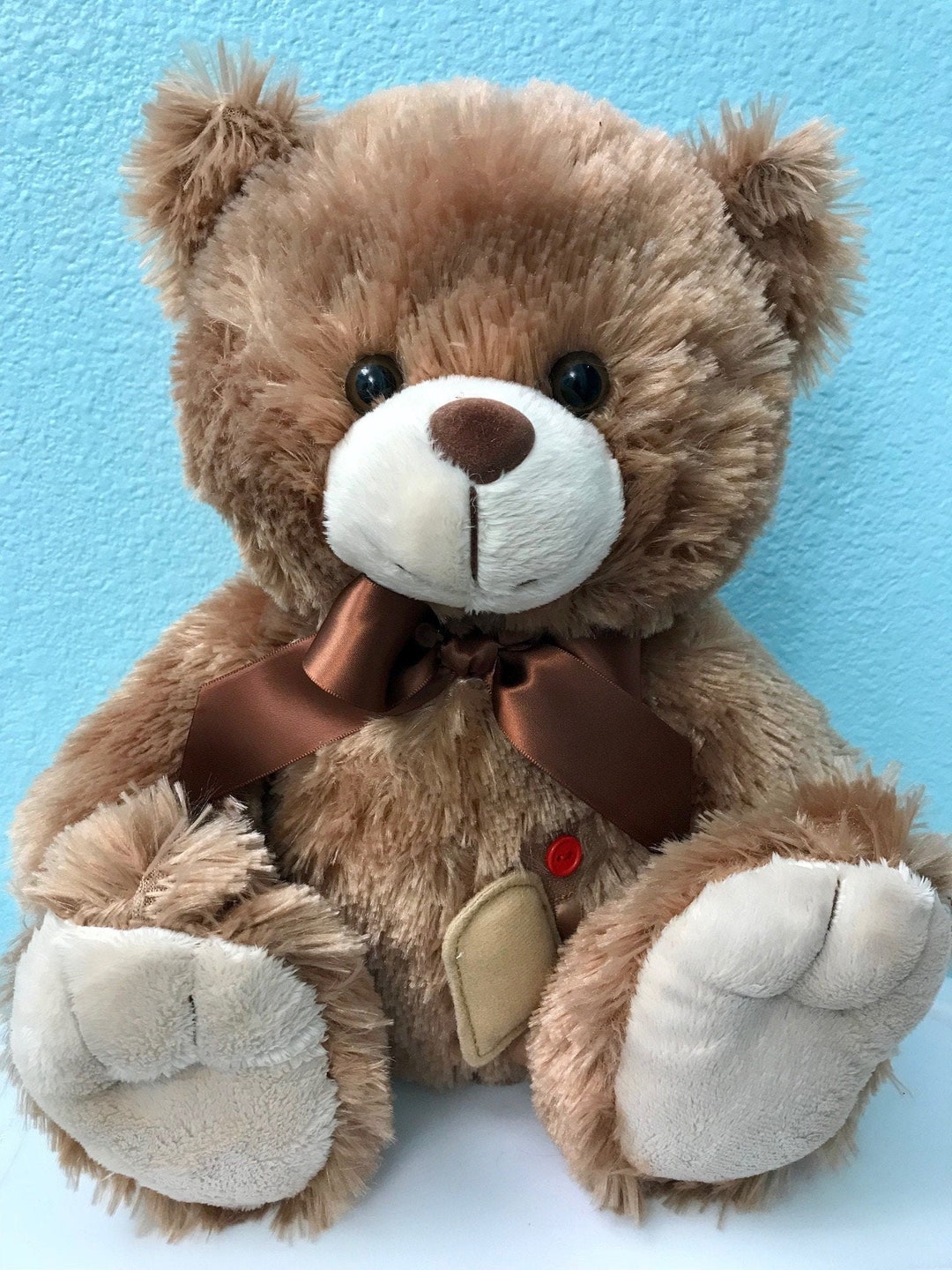 Ostomy Bear, Ostomy, Teddy Bear, Pediatric, Ileostomy, Surgery