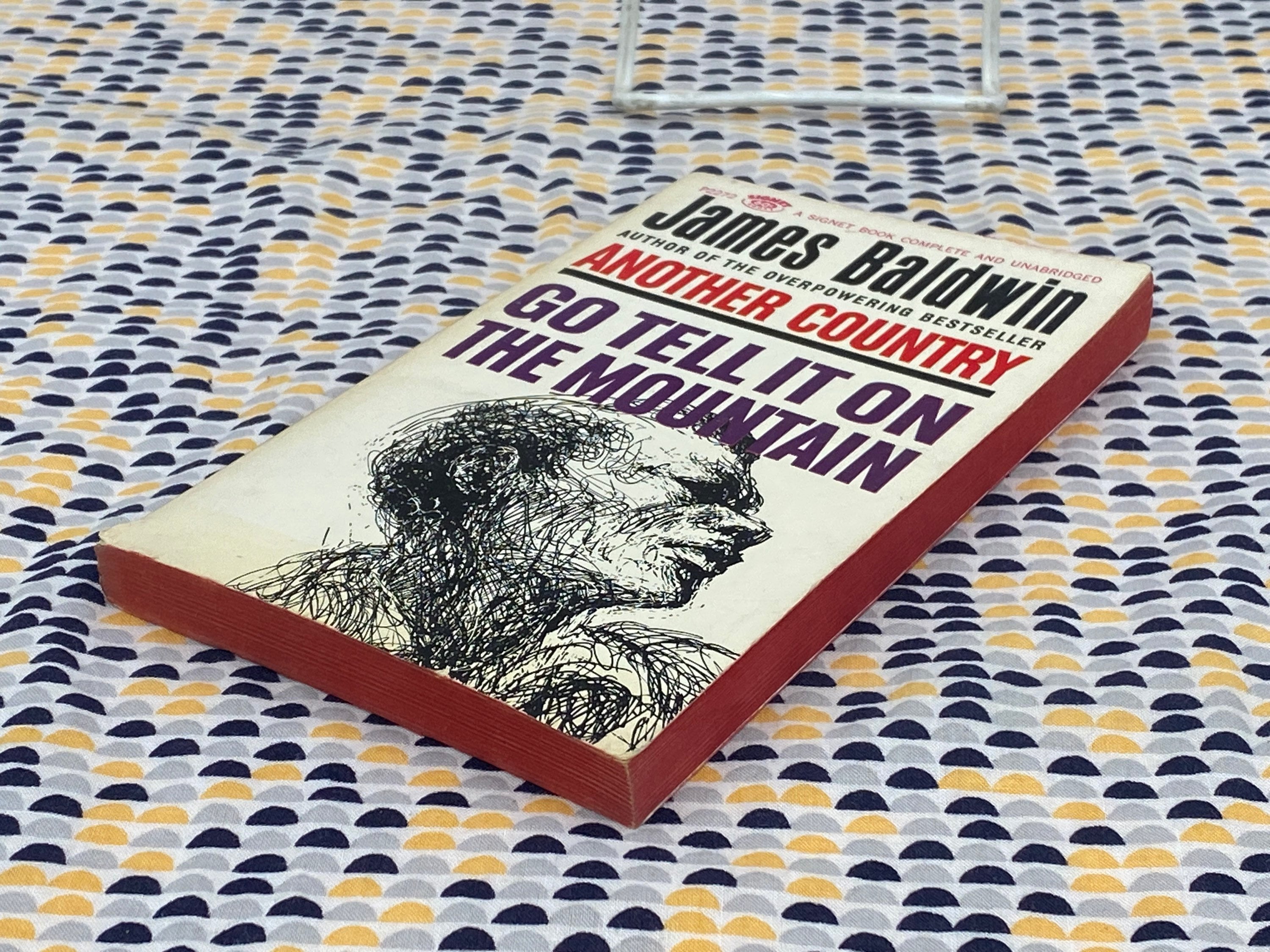 Go Tell It on the Mountain James Baldwin Vintage - Etsy Schweiz