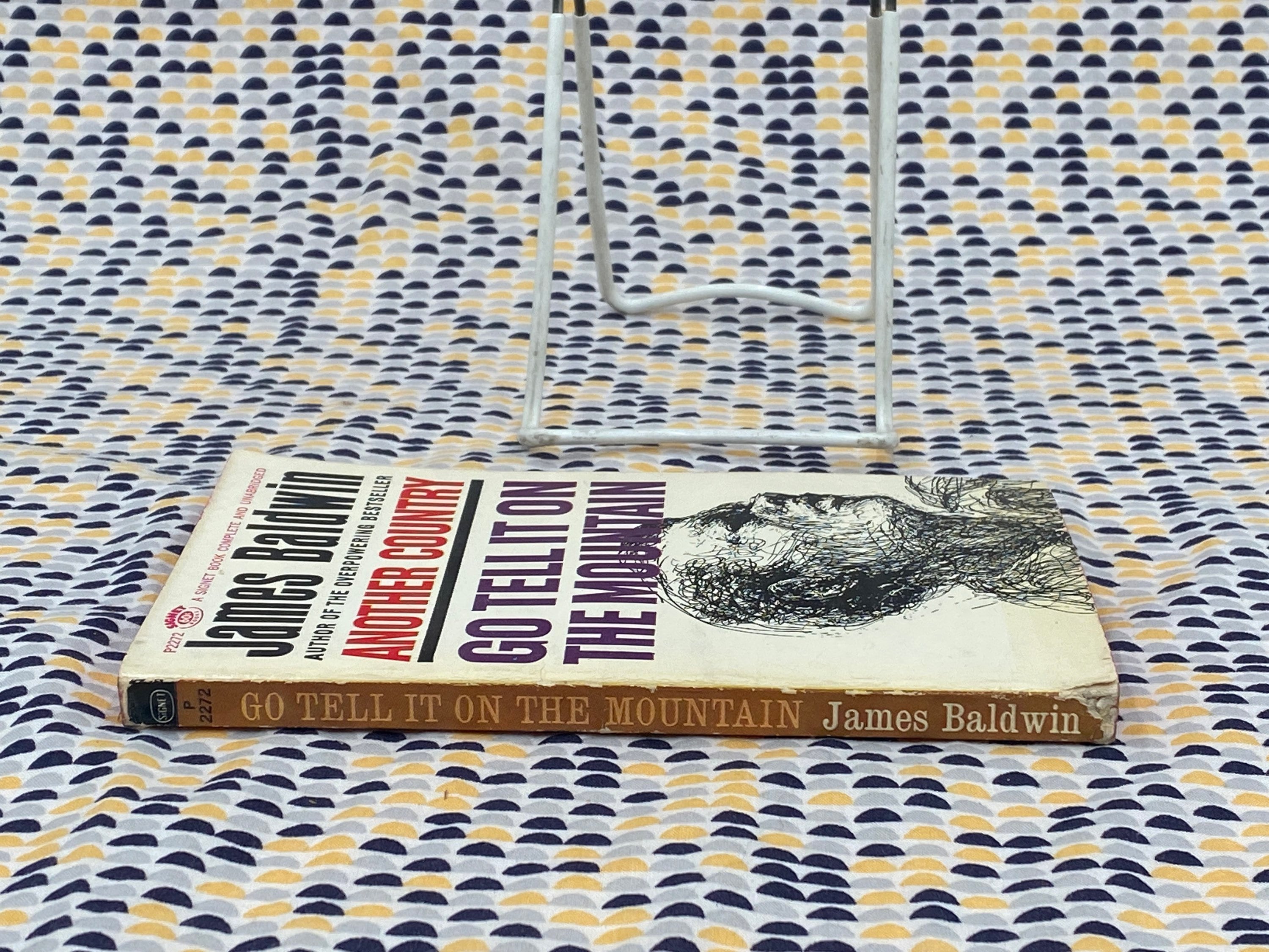 Go Tell It on the Mountain James Baldwin Vintage - Etsy Schweiz