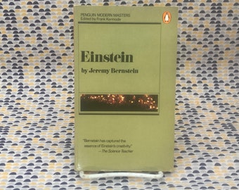 Einstein - Jeremy Bernstein - Vintage Taschenbuch - Pinguin Edition