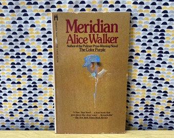 Meridian - Alice Walker - Vintage Paperback Book