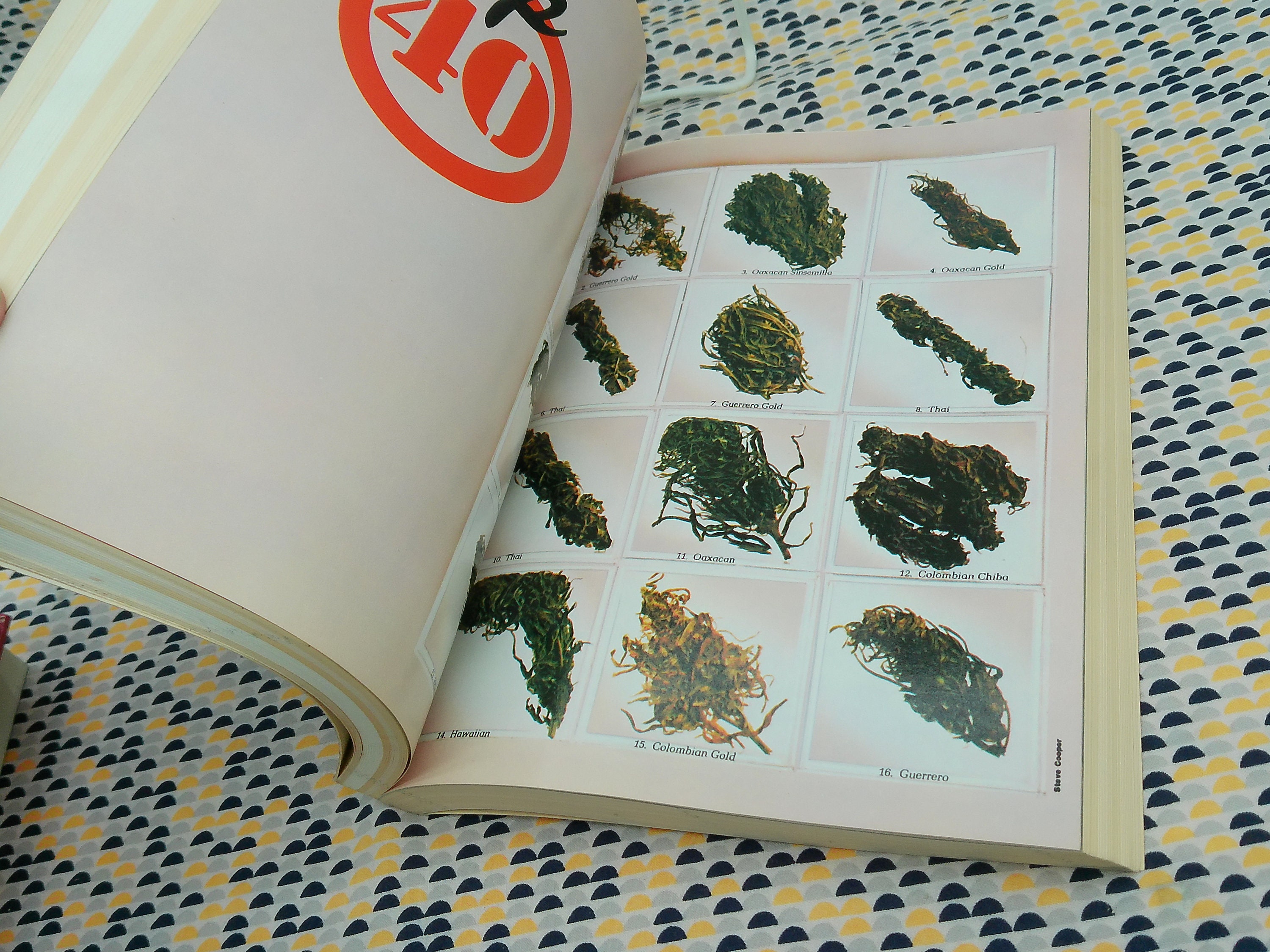 High Times Encyclopedia of Recreational Drugs - Aldrich, Ashley