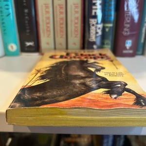 Black Unicorn - Tanith Lee - TOR Fantasy Paperback image 4