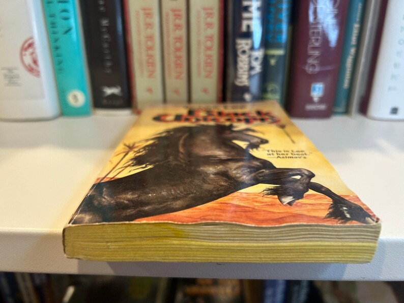 Black Unicorn - Tanith Lee - TOR Fantasy Paperback image 4
