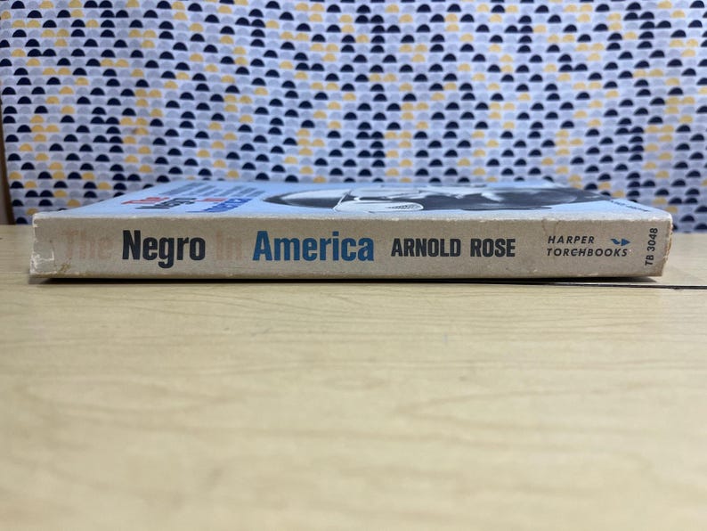 El negro en América - Arnold Rose - Harper Torchbooks - Tapa blanda imagen 3