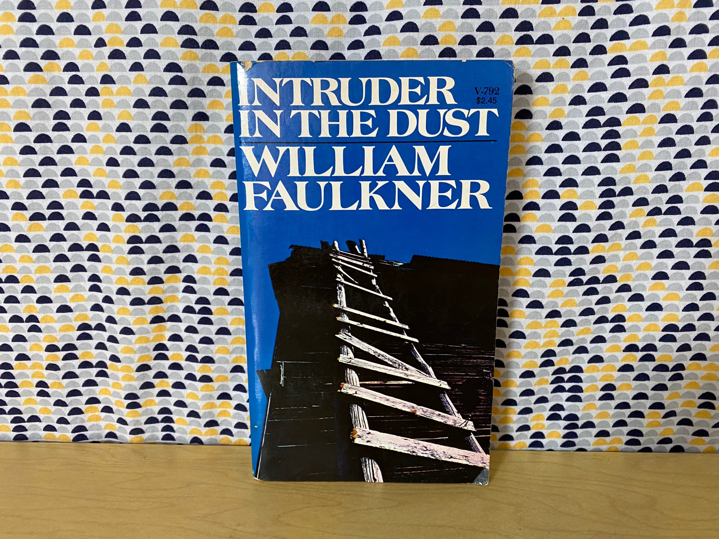 Intruder in the Dust - William Faulkner - Vintage Paperback Book