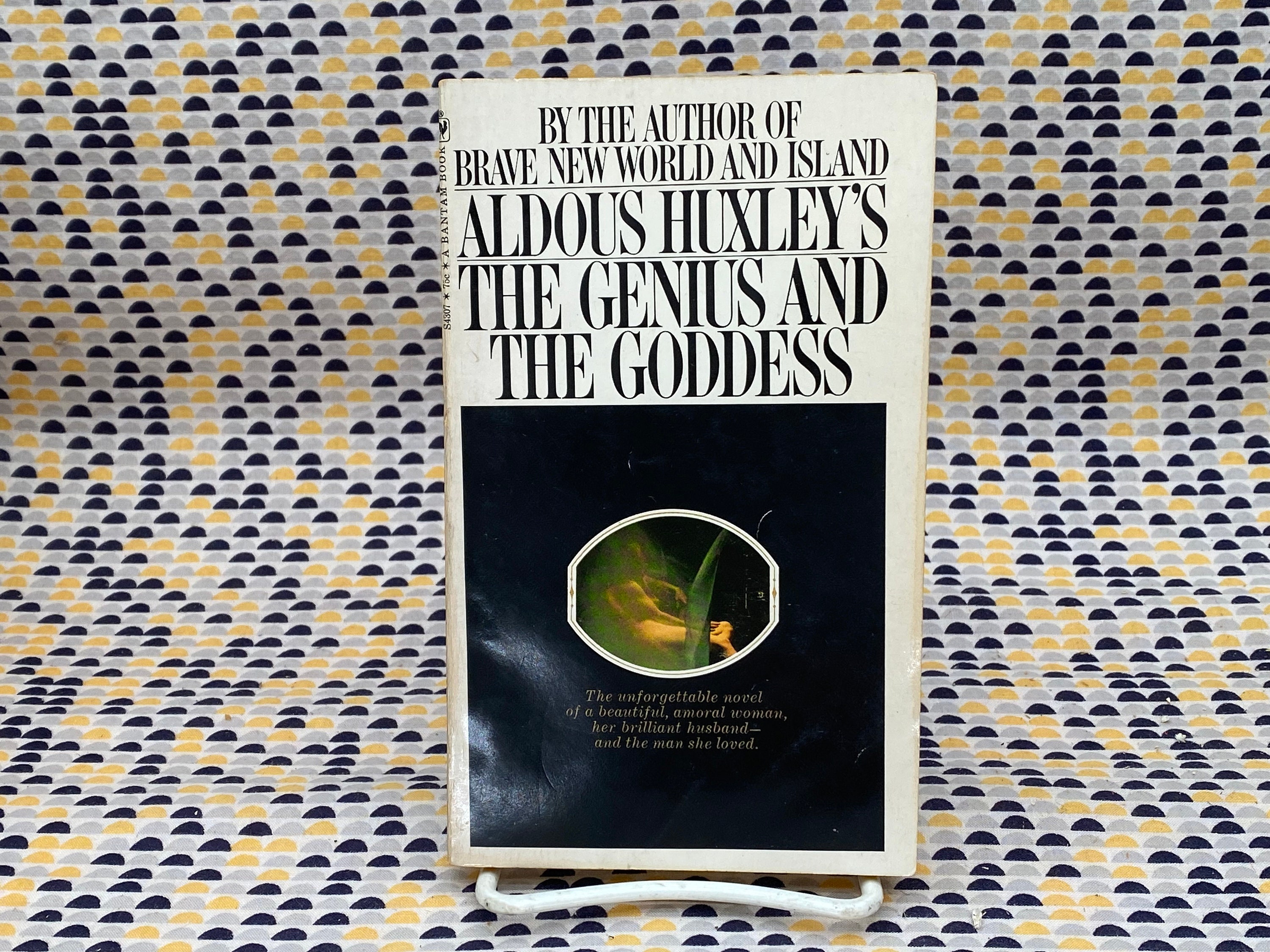 The Genius and the Goddess - Aldous Huxley - Vintage Paperback