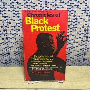 Chroniken des schwarzen Protestes - Bradford Chambors - Mentor Books - Taschenbuch Bild 1