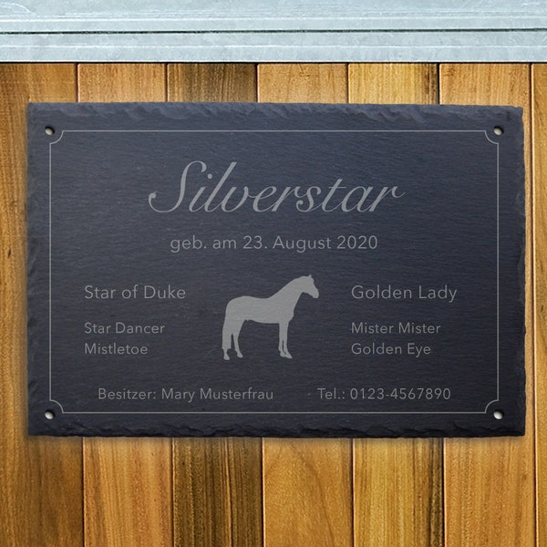 Stallschild auf Schiefer (30x20cm) mit Gravur-Motiv "Silverstar" Tierschild Namensschild Boxenschild Pferd Pony Stall Reiter