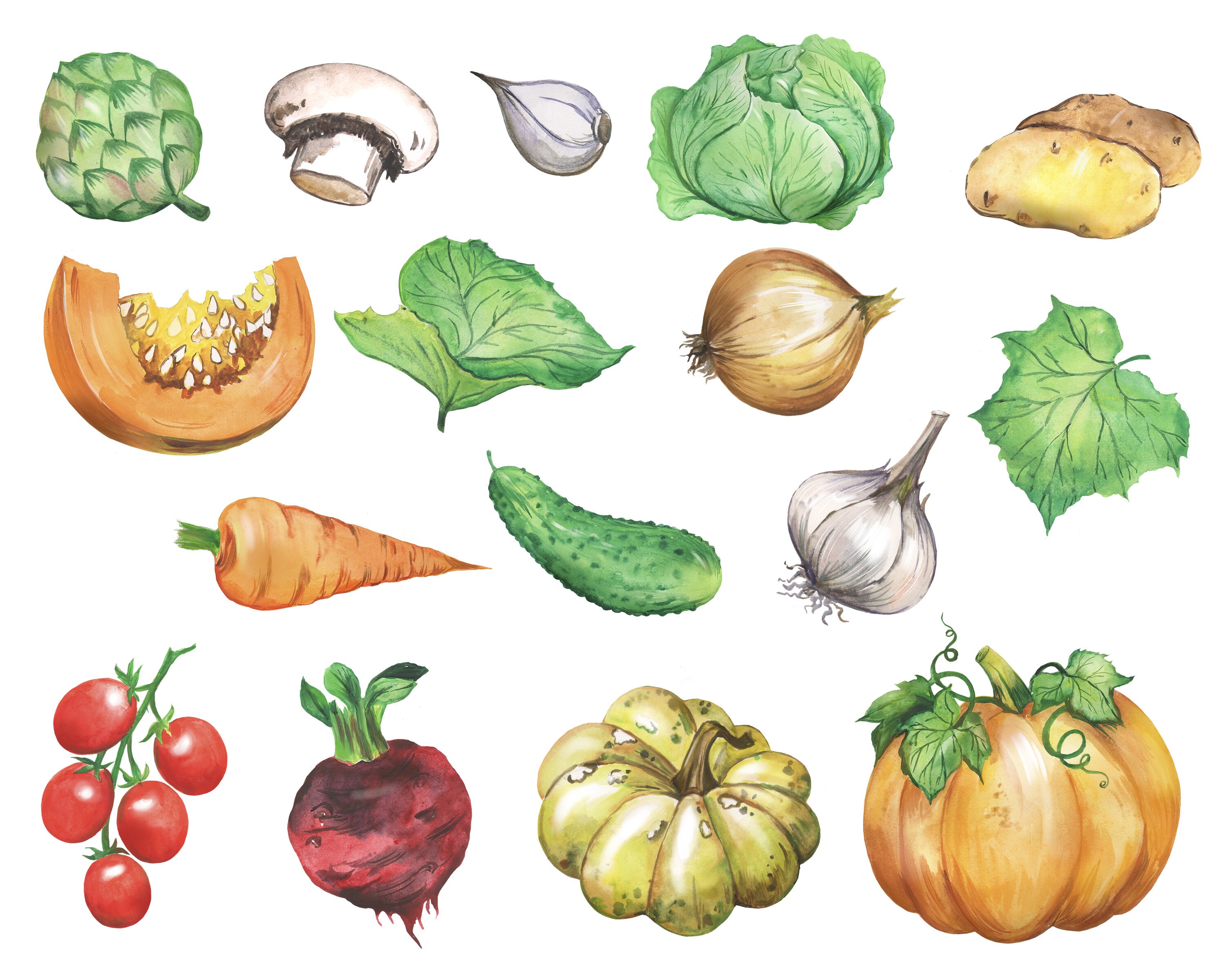 Watercolor Vegetables Food Clipart. Harvest Thanksgiving Etsy
