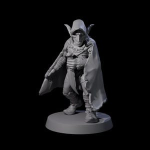 Cloaked Goblin Assassin A Miniature for D&D, Dungeons and Dragons, Pathfinder and many other tabletop games
