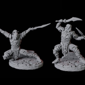 Two Dark Elf or Drow Swordsman Miniastures for D&D, Dungeons and Dragons, Pathfinder and many other tabletop games