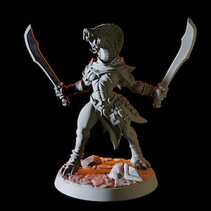 Yuan-ti Malison Miniature D for D&D, Dungeons and Dragons, Pathfinder and many other tabletop games