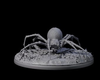 Spinning Web Cave Spider C Miniature for D&D, Dungeons and Dragons, Pathfinder and many other tabletop games