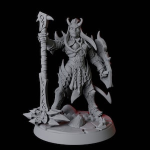 Puede incluir: Figura gris detallada de un personaje de fantasía, posiblemente un guerrero o una hechicera. La figura está vestida con una armadura ornamentada y sostiene un arma grande y un escudo. La base tiene textura para parecer un terreno rocoso.