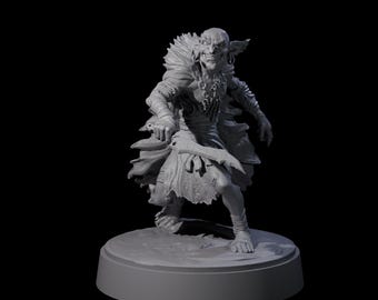 Hardy Goblin Scavenger C Miniature voor D&D, Dungeons and Dragons, Pathfinder en vele andere tafelspellen