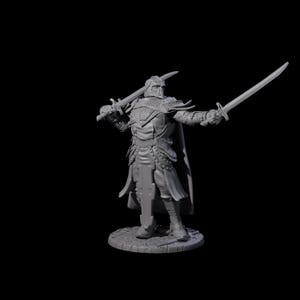 Sir Balyn - Duel Sword Fighter Miniature for D&D, Dungeons and Dragons, Pathfinder and many other tabletop games