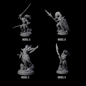 May include: Four gray miniature figurines of fantasy warriors, each in a dynamic pose. Model A wields two swords, Model B holds a spear and shield, Model C has a sword and Model D has a curved blade. Each figure is labeled with a model designation.