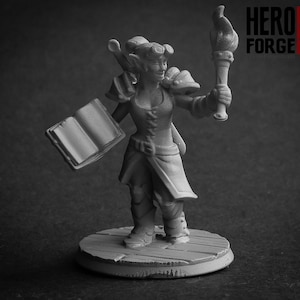 STL - Miniature Printing Service (HeroForge is good for minis)