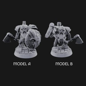 May include: Two gray miniature figurines of armored warriors, each holding a battle axe and shield. Model A has a round shield, while Model B has a rectangular shield. The bases are textured to resemble stone. The text "MODEL A" and "MODEL B" are below each figure.