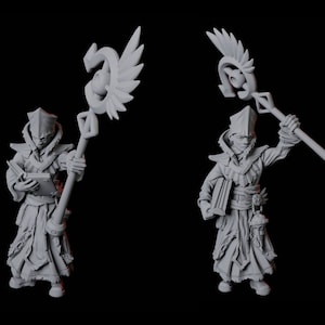 Pair of Noble Priest Miniatures for D&D, Dungeons and Dragons, Pathfinder and many other tabletop games