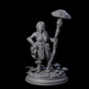 Snazzy Herbalist Miniature for D&D, Dungeons and Dragons, Pathfinder and many other tabletop games