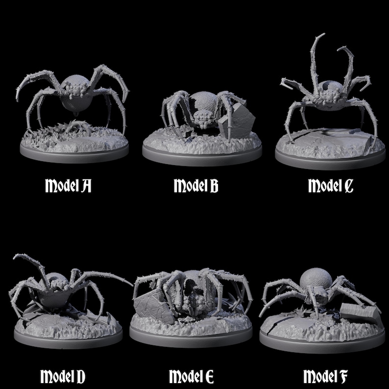 May include: A collection of six gray spider models, each on a circular base with a textured surface. The spiders vary in pose and detail, with some appearing to be crawling or resting. Each model is labeled with a letter from A to F.