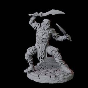 Dark Elf oder Drow Dual Wielding Swordsman Miniatur B für D & D, Dungeons and Dragons, Pathfinder und viele andere Tabletop-Spiele