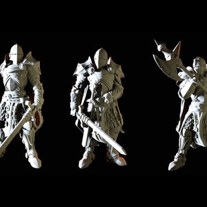 Three Royal Knight Miniatures for D&D, Dungeons and Dragons, Pathfinder and many other tabletop games