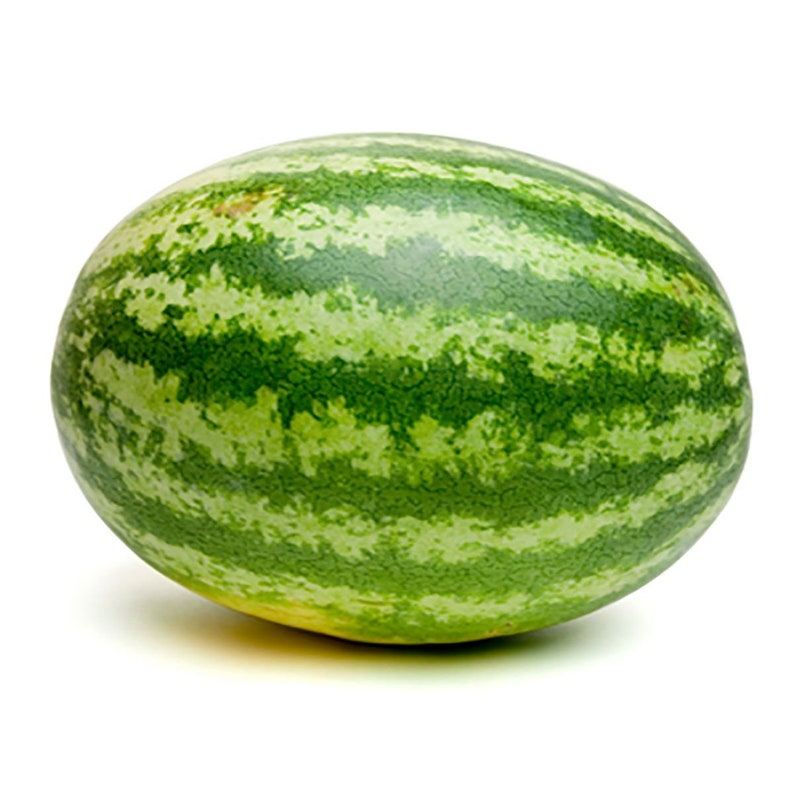 Watermelon Crawl. Wild Watermelon Wax Melt. Aromatherapy. Soy Etsy