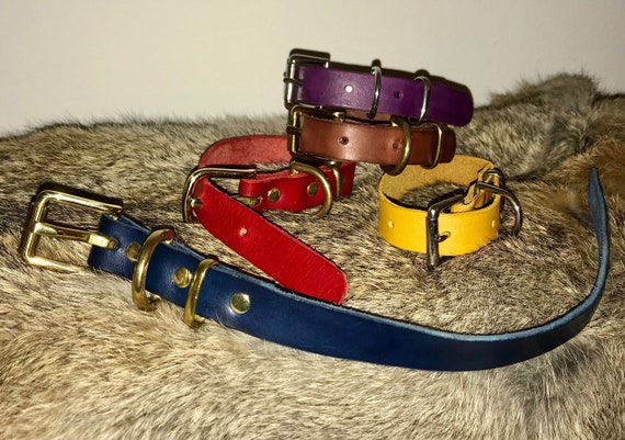xs leather dog collar