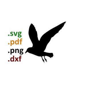 seagull silhouette