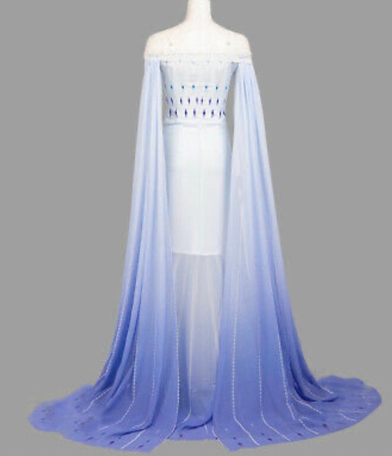 elsa frozen 2 dress adult