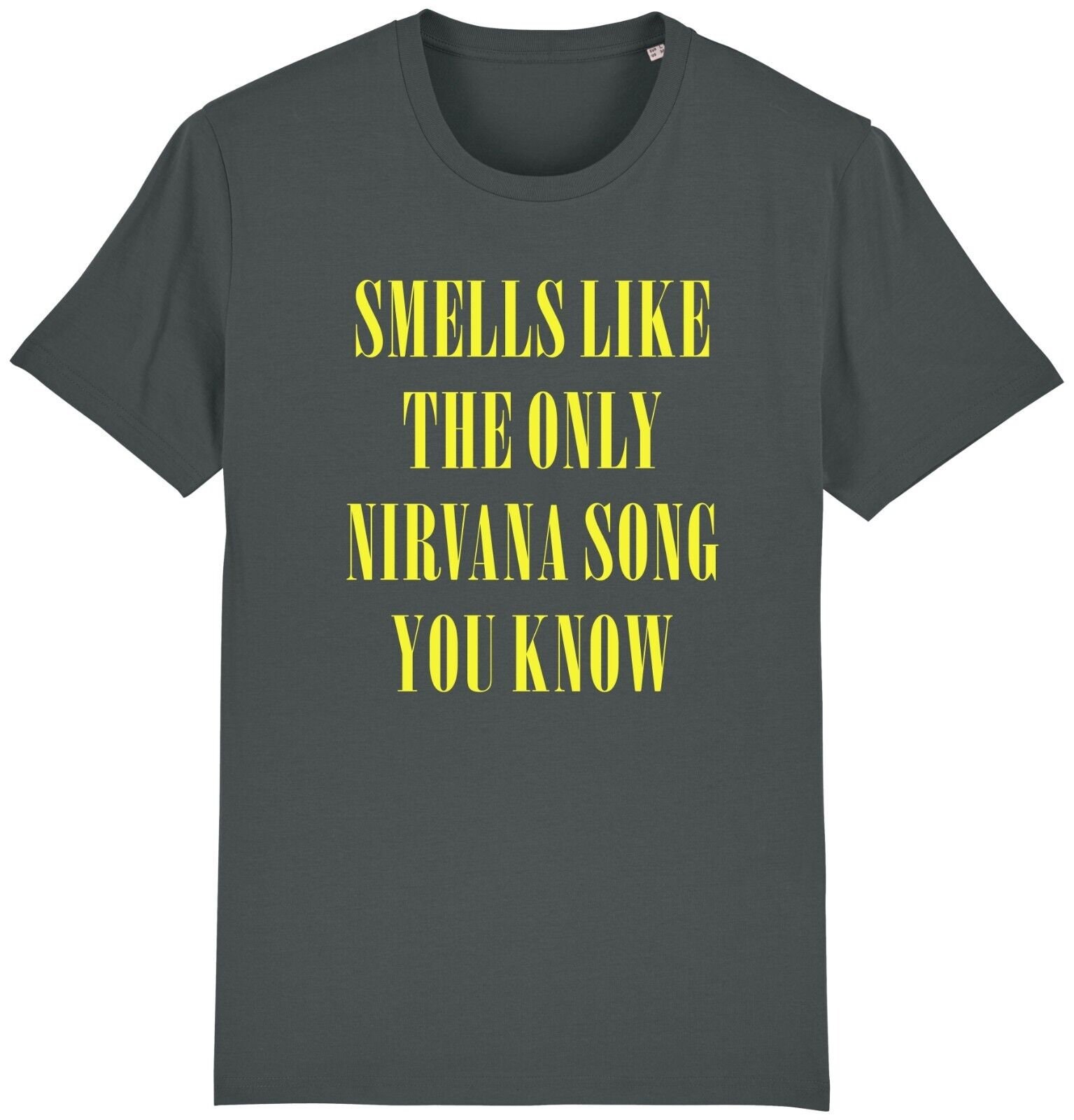 Smells Like the Only Nirvana Song You Know T-shirt Funny Teen