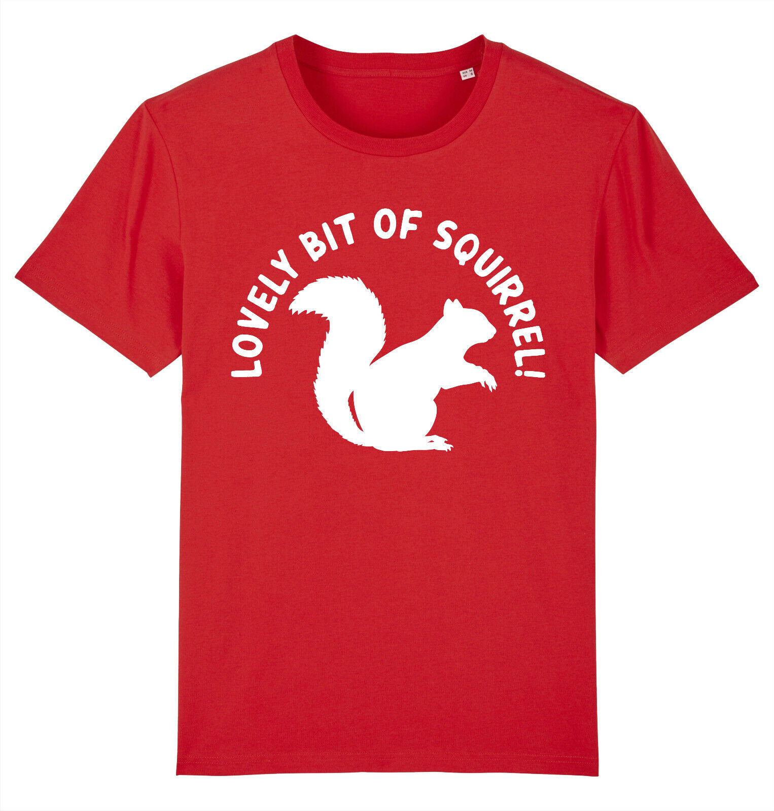 Lovely Bit of Squirrel Friday Night T-shirt - Etsy
