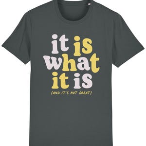 It is What It is Shirt - Etsy UK