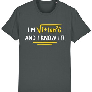 May include: Dark grey t-shirt with the text "I'm √1+tan²C and I know it!" in yellow.