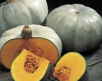 Squash strawberry crown Organic  seeds 15