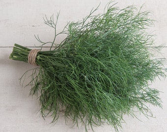 May include: A bunch of fresh dill tied together with twine. The dill is a bright green color and has a feathery texture.