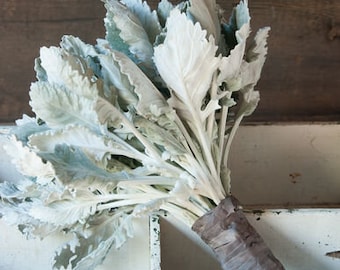 Dusty Miller New Look samen 50
