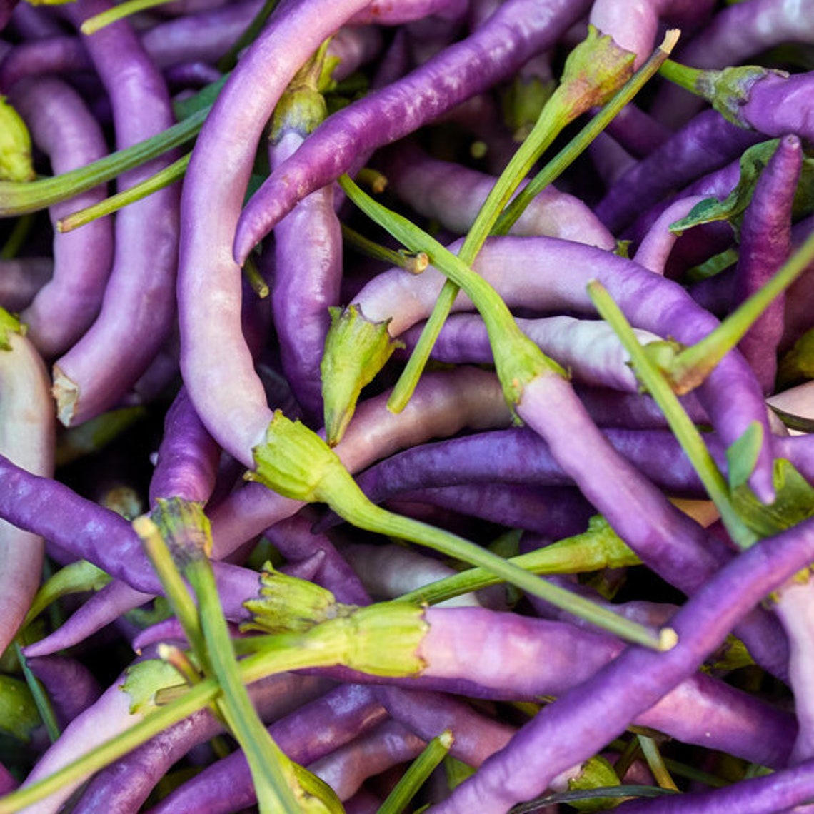 Peper Paarse Cayenne pepers zaden 10 Etsy