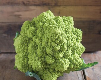 Semillas de coliflor puntoverde 25
