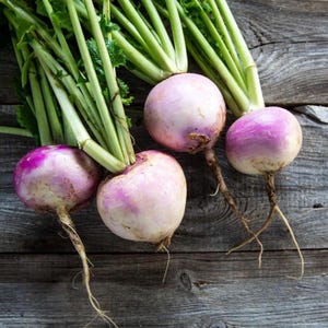Purple Top Turnip Seed 50 Heirloom Root Vegetable 100 count image 1