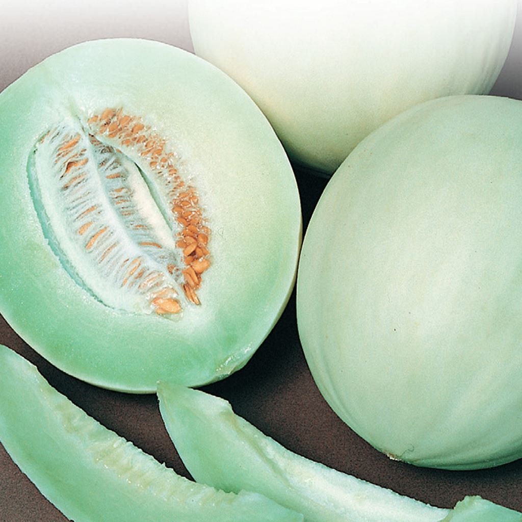 Honeydew, Green Flesh Melon - Victory Seeds® – Victory Seed Company