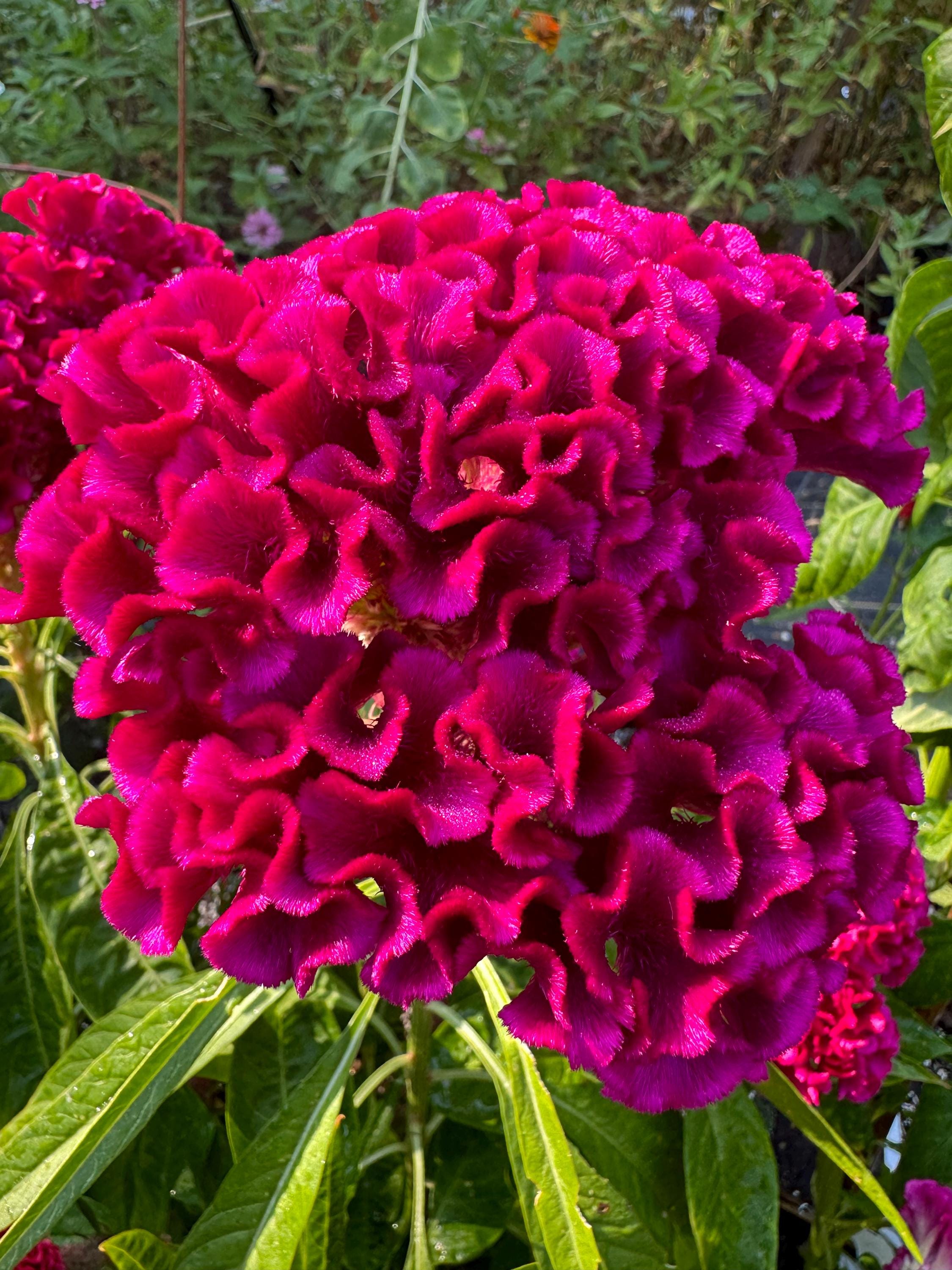 il_fullxfull.6300244256_p04n.jpg