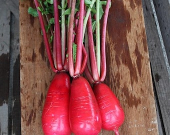 May include: Three red radishes with green leafy tops on a wooden cutting board.