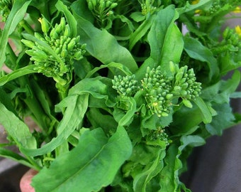 Broccoli Novantina Raab organic seed 100